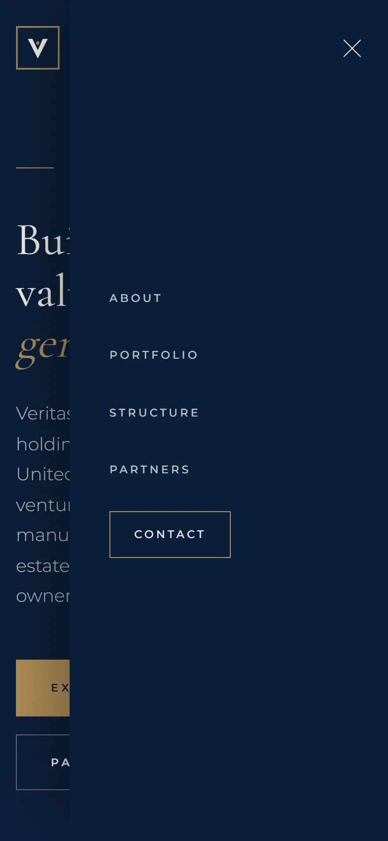 Veritas Prime Capital — xalqaro xolding korporativ sayti — mobil skrinshot 9